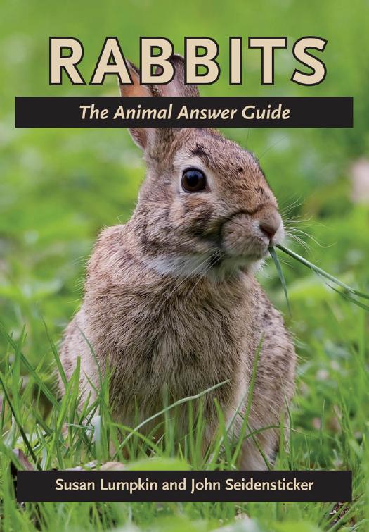 Rabbits: The Animal Answer Guide by Susan Lumpkin & John Seidensticker