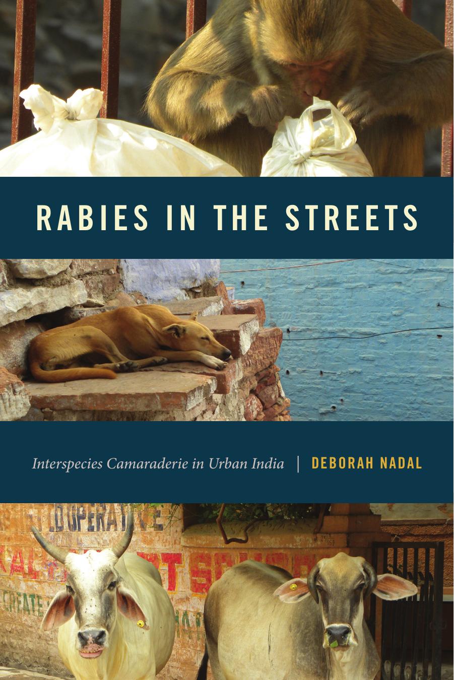 Rabies in the Streets: Interspecies Camaraderie in Urban India by Deborah Nadal