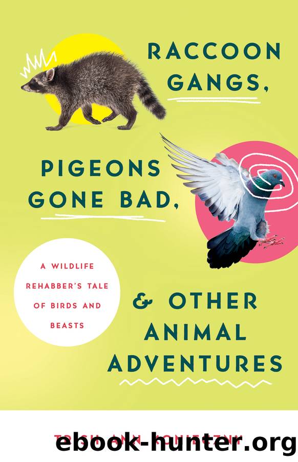 Raccoon Gangs, Pigeons Gone Bad, and Other Animal Adventures by Trish Ann Konieczny