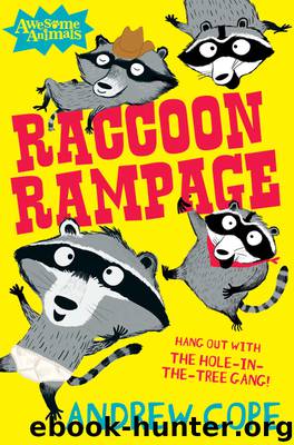 Raccoon Rampage by Andrew Cope