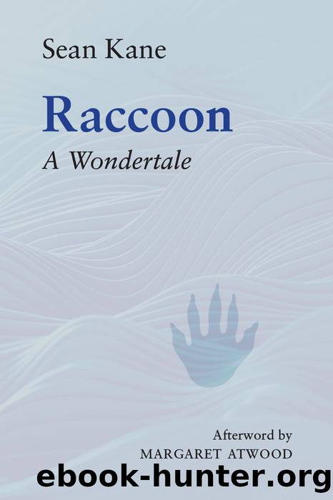 Raccoon by Sean Kane