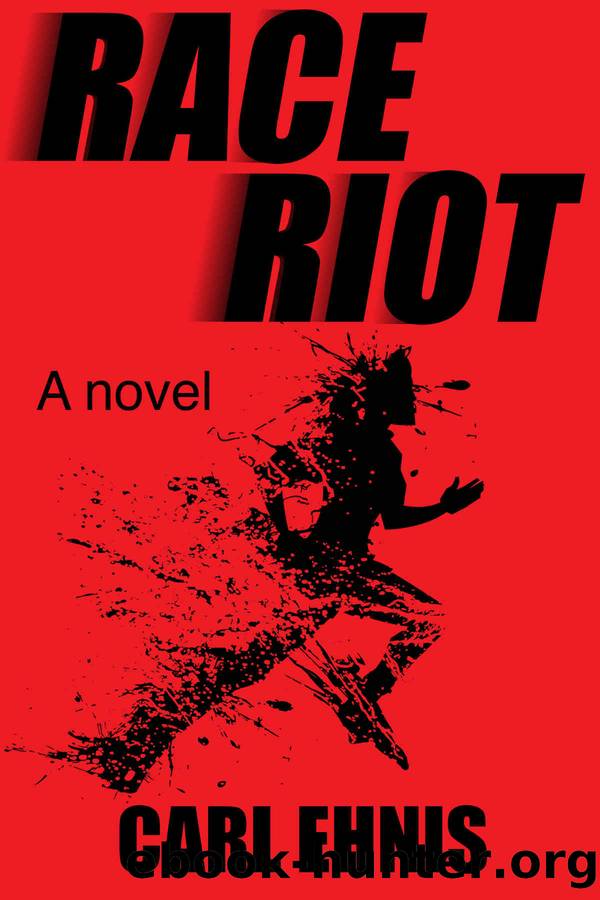 Race Riot by Carl Ehnis