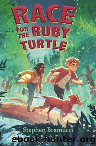 Race for the Ruby Turtle by Stephen Bramucci