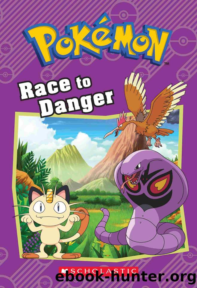Race to Danger by Tracey West