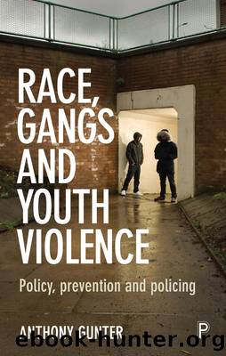 Race, Gangs and Youth Violence by Gunter Anthony