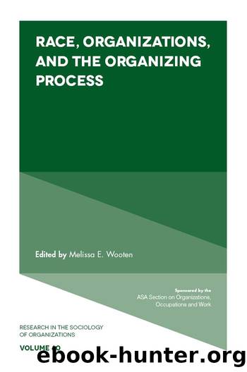 Race, Organizations, and the Organizing Process by Melissa E. Wooten