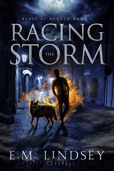Racing the Storm by E.M. Lindsey