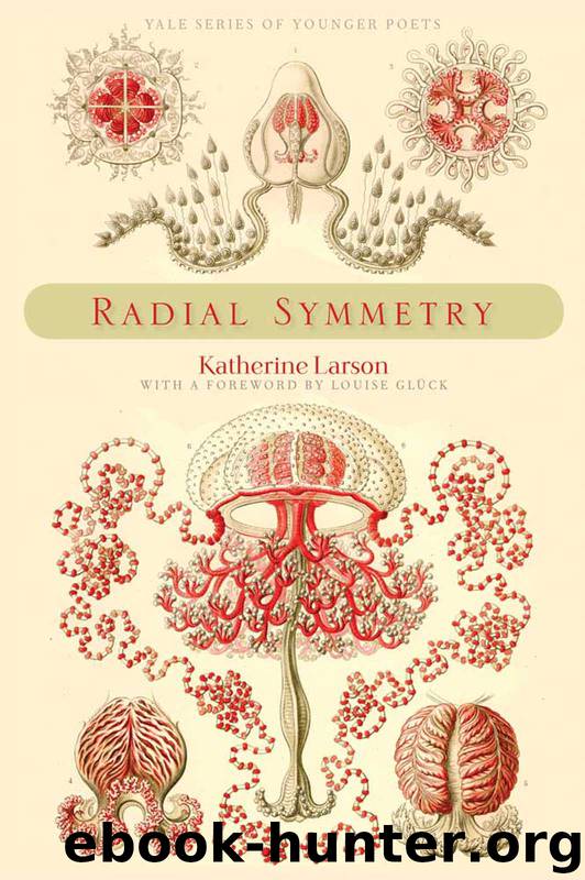 Radial Symmetry by Katherine Larson