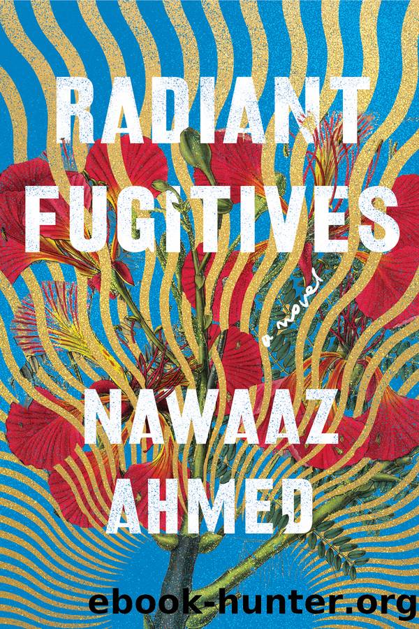Radiant Fugitives by Nawaaz Ahmed