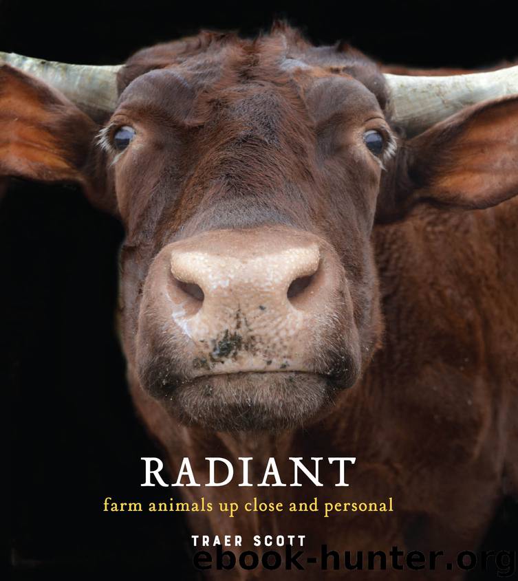 Radiant by Traer Scott
