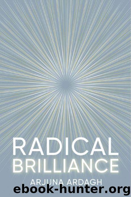 Radical Brilliance: The Anatomy of How and Why People Have Original Life-changing ideas by Arjuna Ardagh