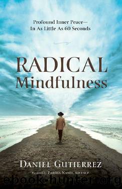 Radical Mindfulness: Profound Inner Peace In As Little As 60 Seconds by Daniel Gutierrez