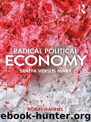 Radical Political Economy by Hahnel Robin