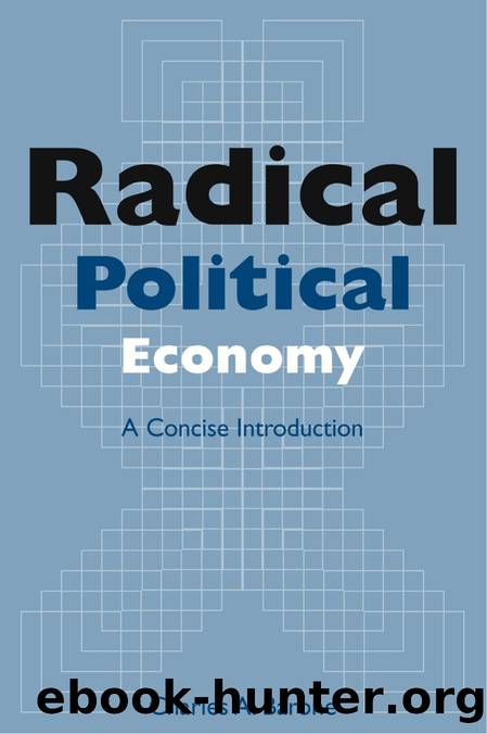 Radical Political Economy: a Concise Introduction : A Concise Introduction by Charles A. Barone