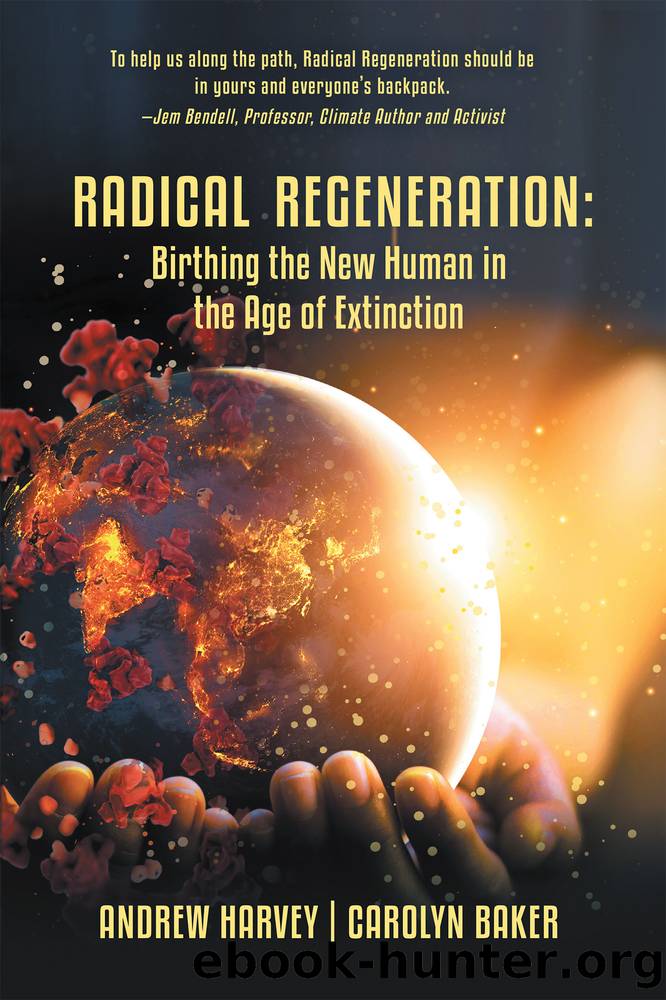 Radical Regeneration by Carolyn Baker
