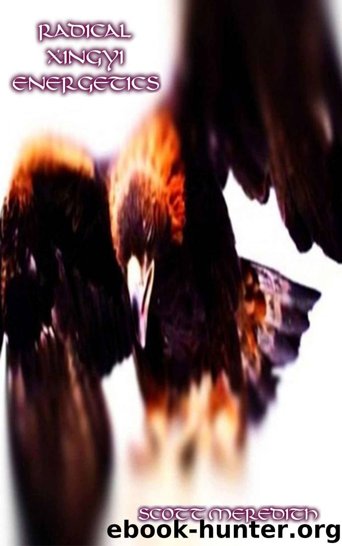 Radical Xingyi Energetics by Scott Meredith