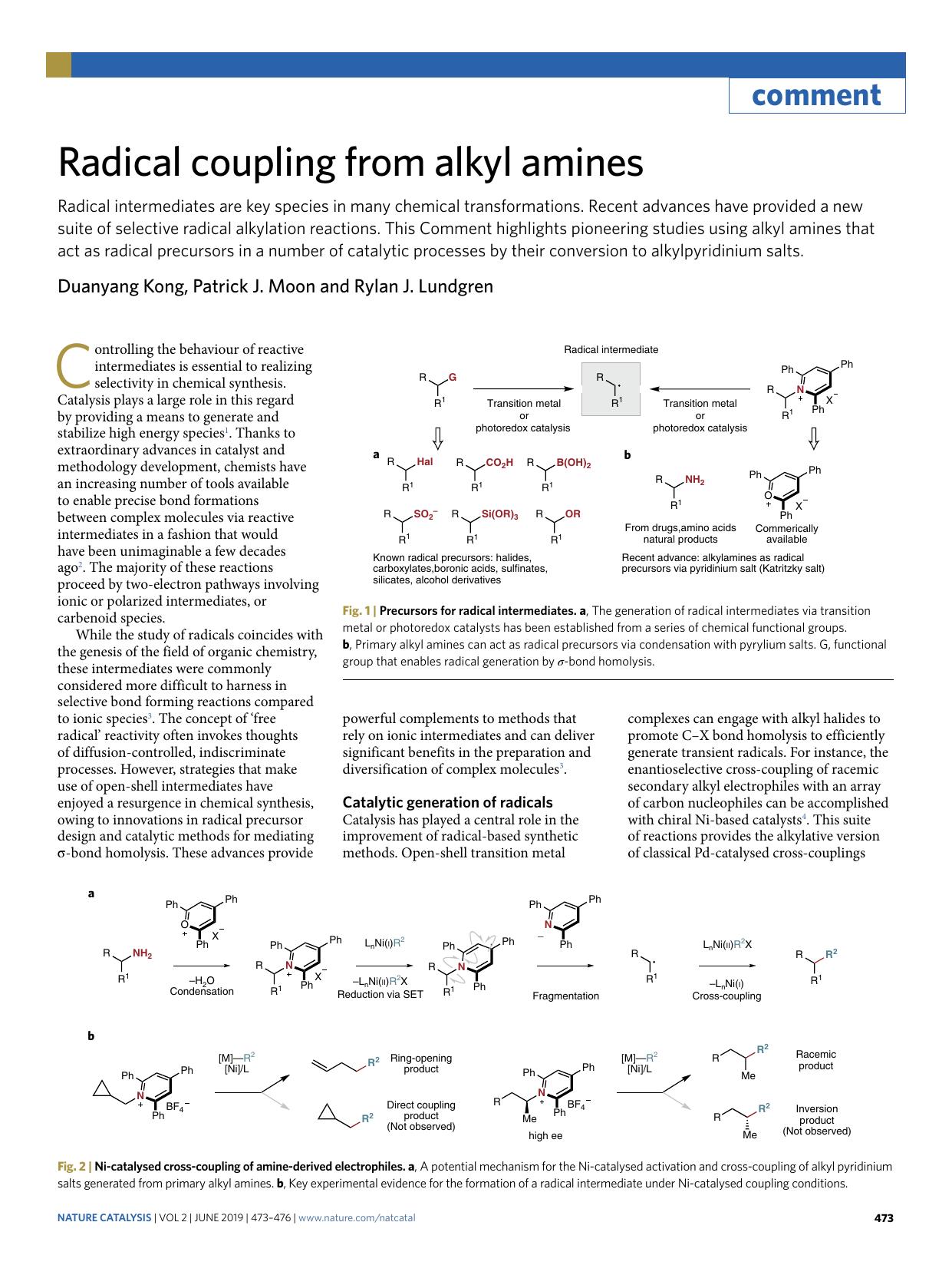 Radical coupling from alkyl amines by Duanyang Kong & Patrick J. Moon & Rylan J. Lundgren