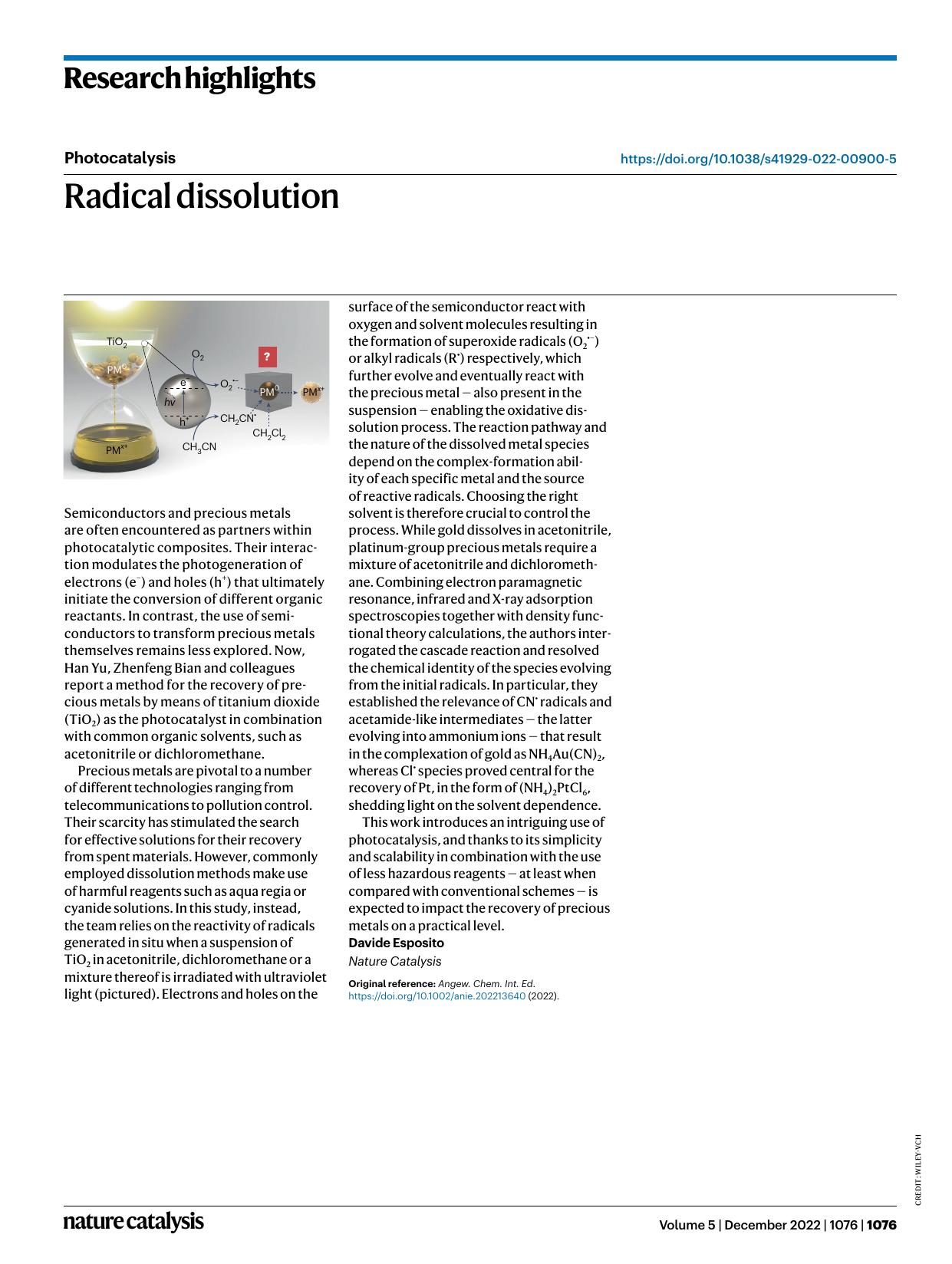 Radical dissolution by Davide Esposito