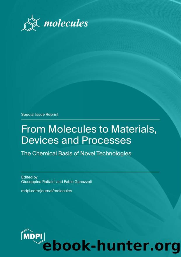 Raffaini G. From Molecules to Materials, Devices and Processes...2025 by Unknown