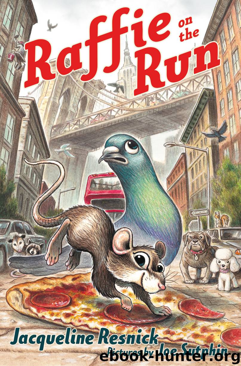 Raffie on the Run by Jacqueline Resnick
