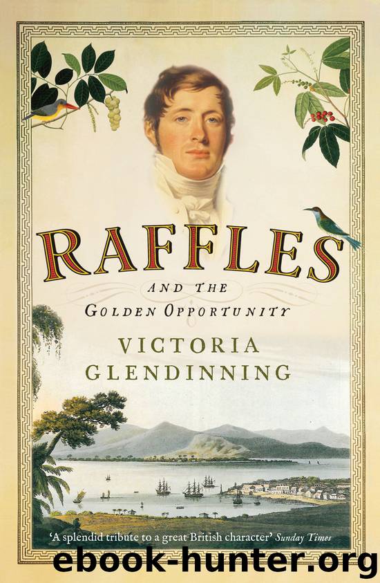 Raffles by Victoria Glendinning