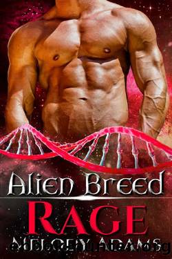 Rage by Melody Adams