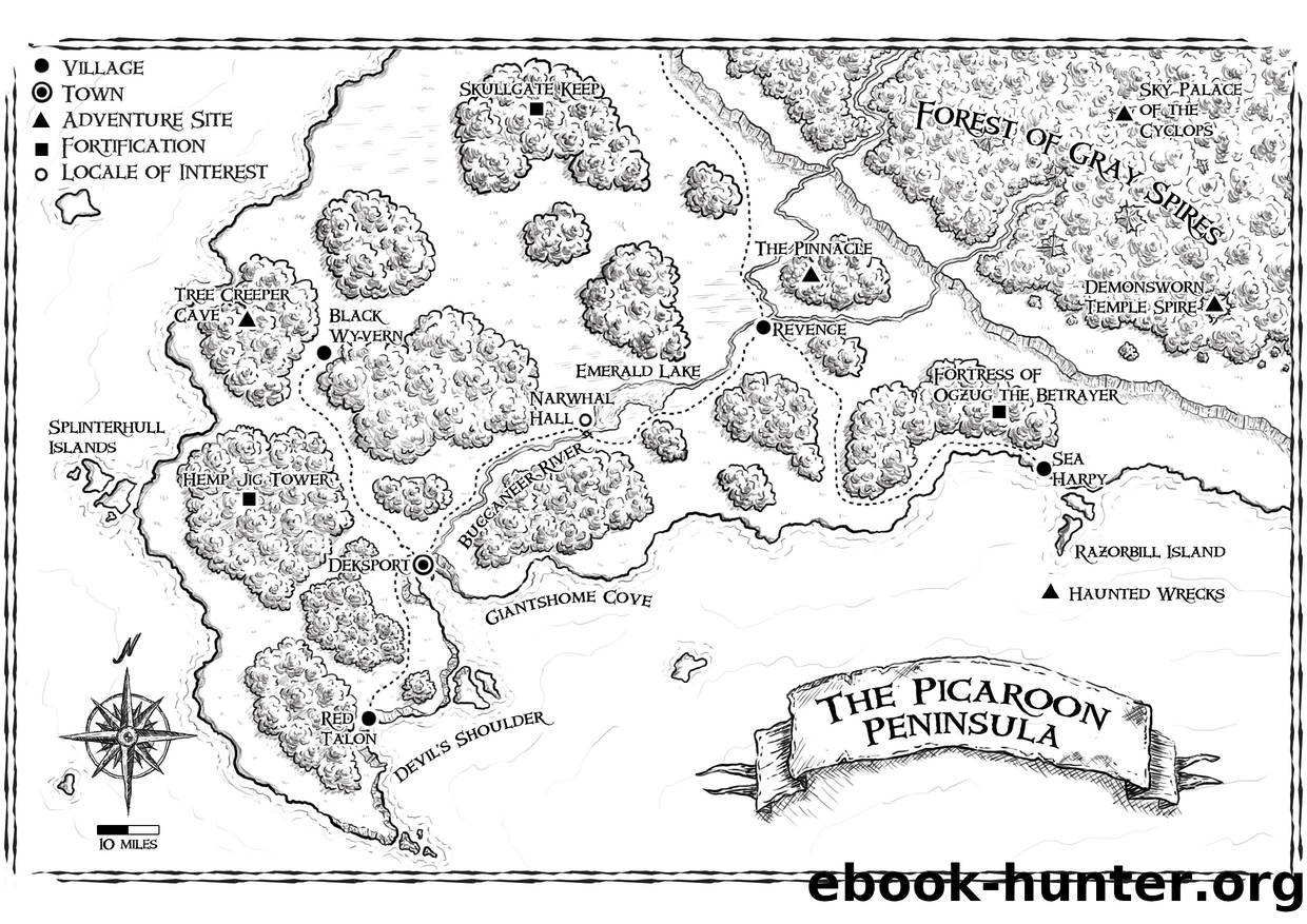 Raging Swan Picaroon Peninsula fullsize family friendly map by Unknown