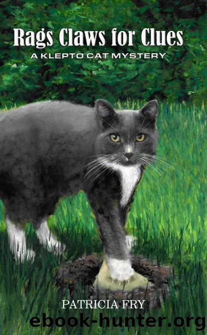 Rags Claws for Clues: A Klepto Cat Mystery by Patricia Fry