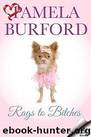 Rags to Bitches by Burford Pamela