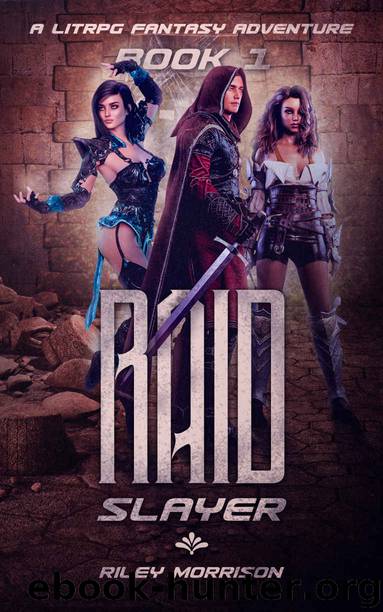 Raid Slayer: A LITRPG Fantasy Adventure by Riley Morrison