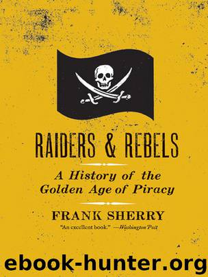 Raiders and Rebels by Frank Sherry