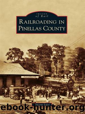 Railroading in Pinellas County by Vincent Luisi