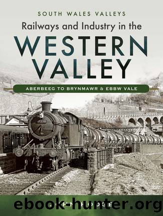 Railways and Industry in the Western Valley by Unknown