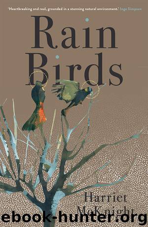 Rain Birds by Harriet McKnight