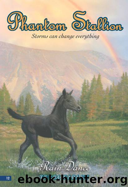 Rain Dance by Terri Farley