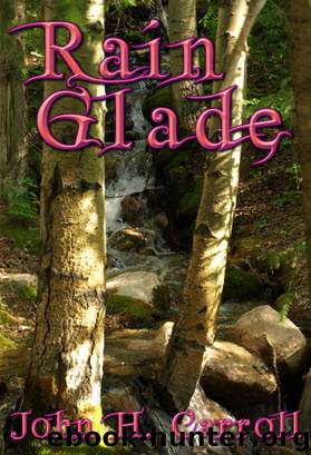 Rain Glade by Carroll John H