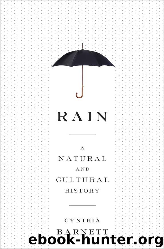 Rain by Cynthia Barnett