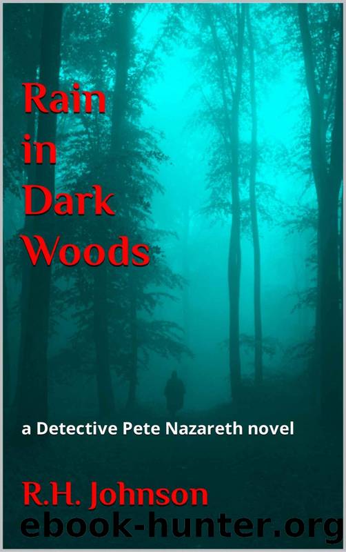 Rain in Dark Woods by R.H. Johnson