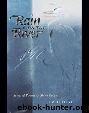Rain on the River by Jim Dodge