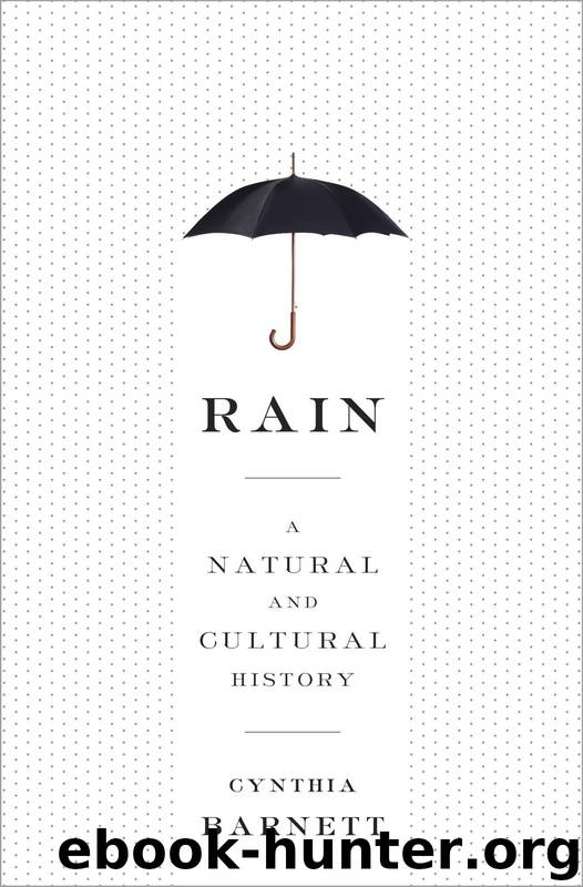 Rain: A Natural and Cultural History by Cynthia Barnett