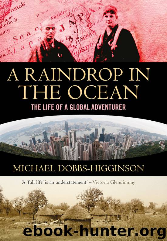 Raindrop in the Ocean by Dobbs-Higginson Michael
