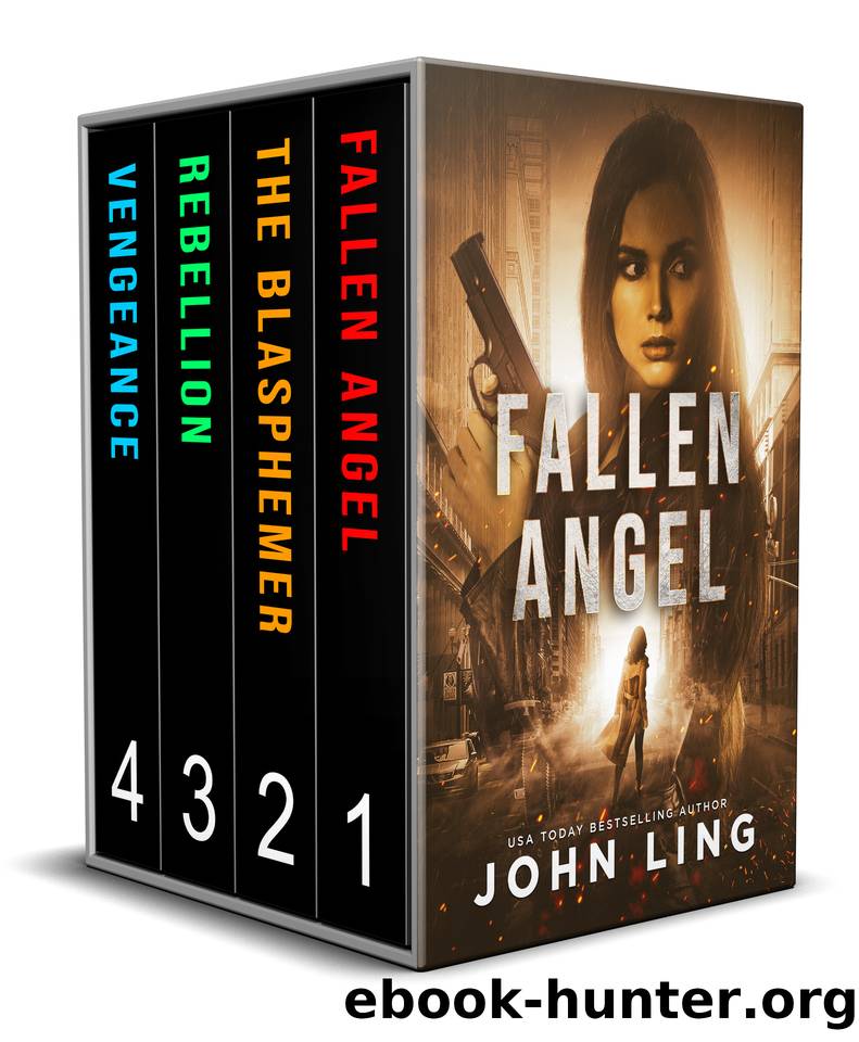 Raines & Shaw Thriller Series Box Set (Books 1â4) by John Ling