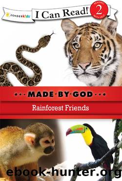 Rainforest Friends by Zondervan