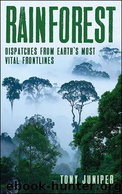 Rainforest by Tony Juniper