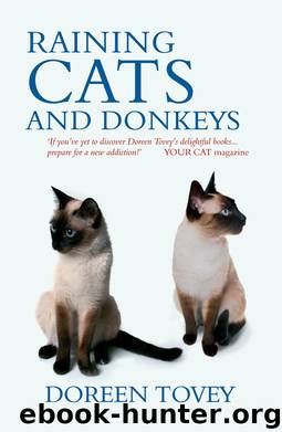 Raining Cats and Donkeys by Tovey Doreen