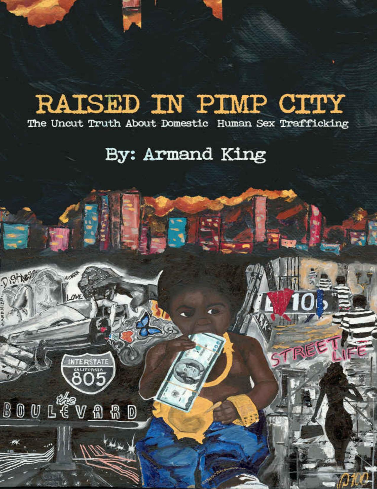 Raised in Pimp City by Zamzar