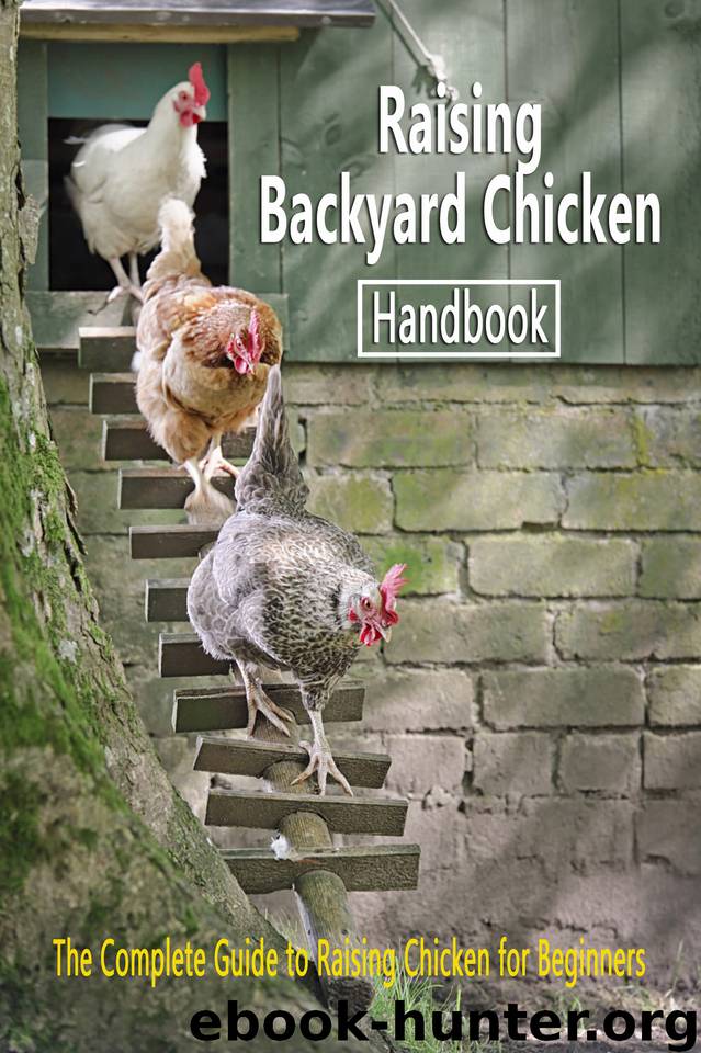 Raising Backyard Chicken Handbook: The Complete Guide to Raising Chicken for Beginners: Chicken's Guide by Reindl Leeanne