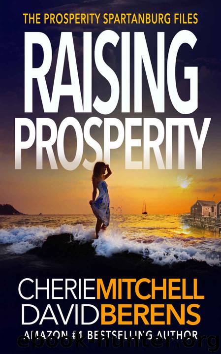 Raising Prosperity by Cherie Mitchell & David Berens