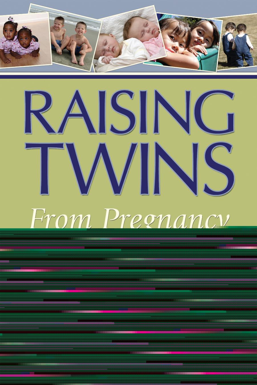 Raising Twins: From Pregnancy to Preschool by Shelly Vaziri Flais