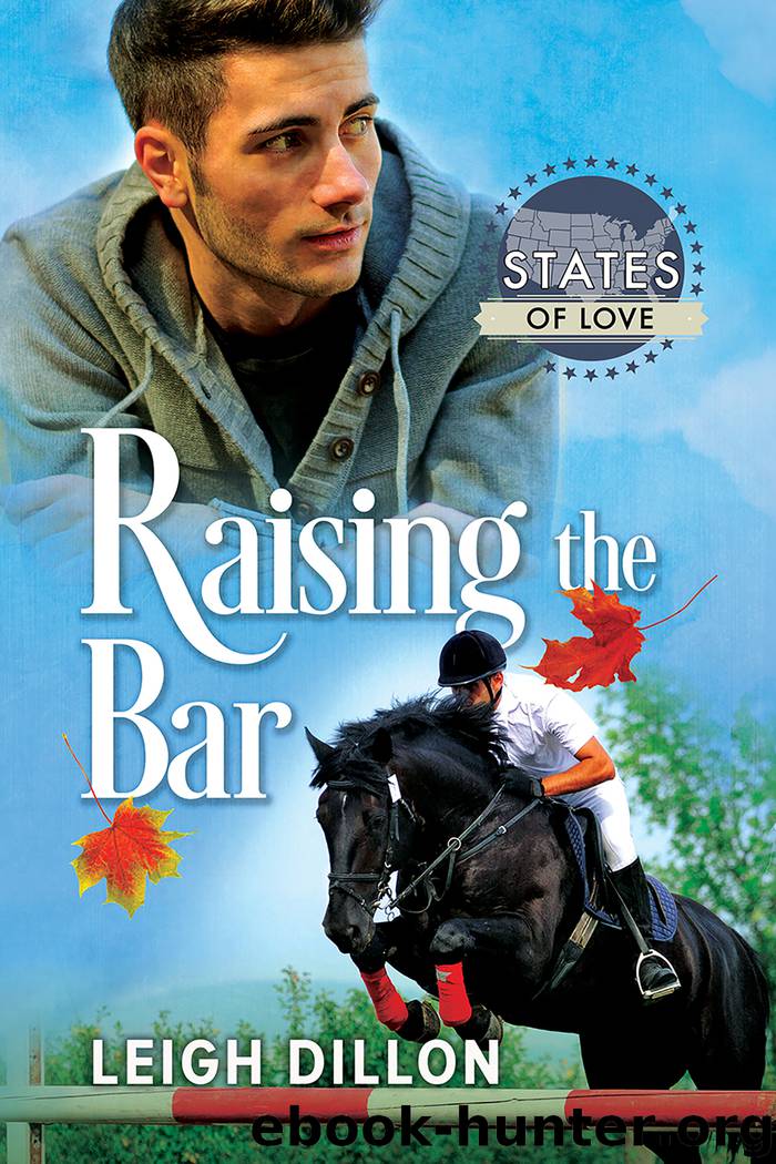 Raising the Bar by Leigh Dillon